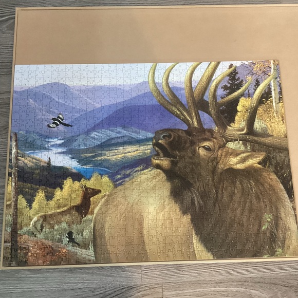 1000pc Puzzle - Picture 2 of 3